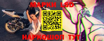 СК Краснодар