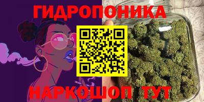 СК Краснодар